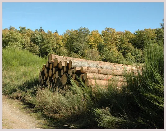 Waldbauverein Langenfeld